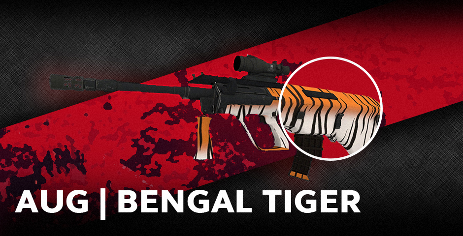 AUG | AUG / Tygrys Bengalski