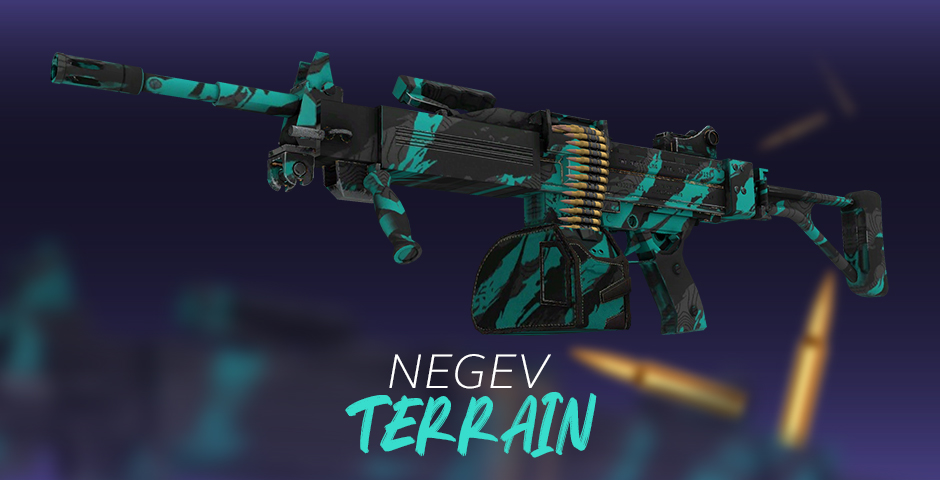 Negev | Terrain