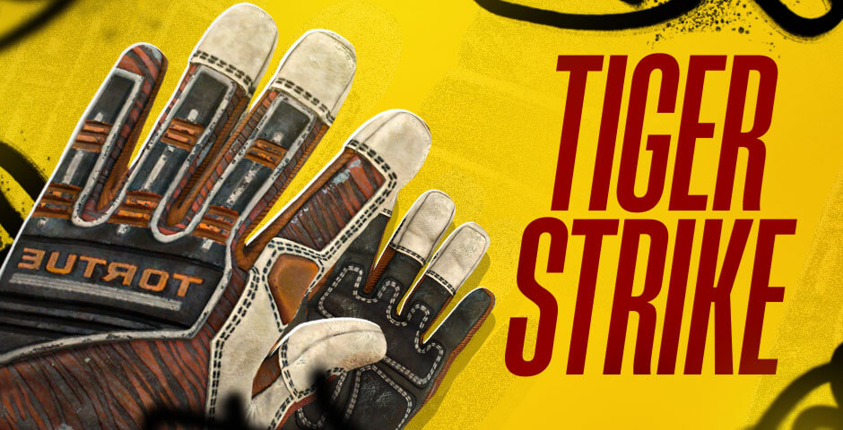 Specialist Gloves | Tiger Strike